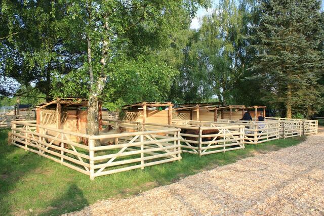 27.05.2010: Gehege mit Schafen