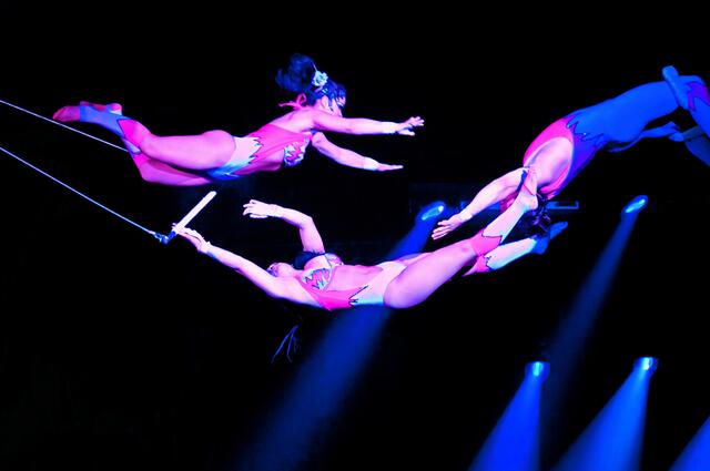Foto: Bild: Zirkus Krone