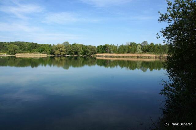 Friedberg  (Bayern), Afrasee - Frühlingsimpressionen