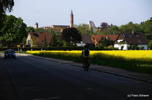 Friedberg  (Bayern), Afrasee - Frühlingsimpressionen