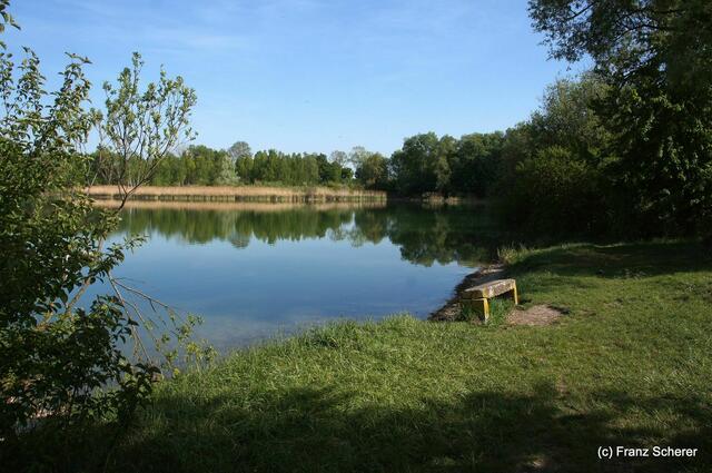 Friedberg  (Bayern), Afrasee - Frühlingsimpressionen