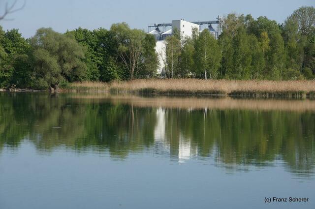 Friedberg  (Bayern), Afrasee - Frühlingsimpressionen