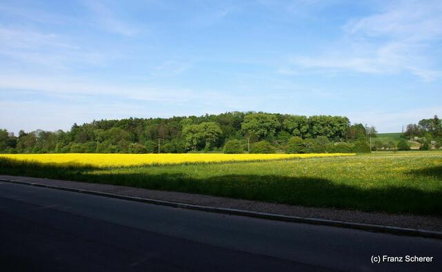 Friedberg  (Bayern), Afrasee - Frühlingsimpressionen