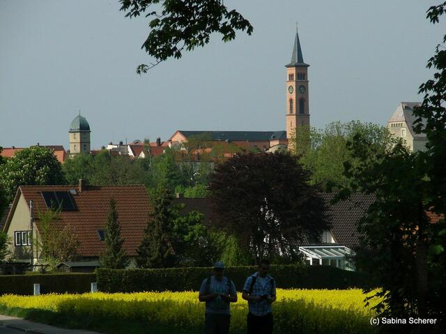 Friedberg  (Bayern), Afrasee - Frühlingsimpressionen