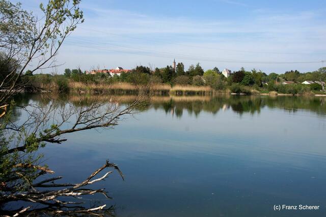 Friedberg  (Bayern), Afrasee - Frühlingsimpressionen