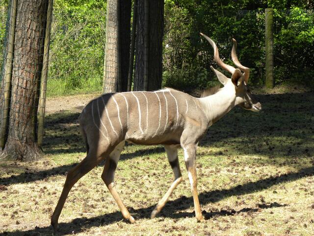 ...ich geh ja schon.