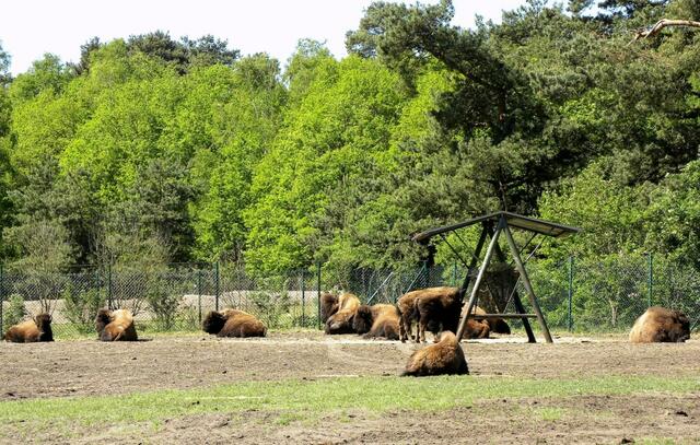 Neee, hier wird nicht gestreichelt.