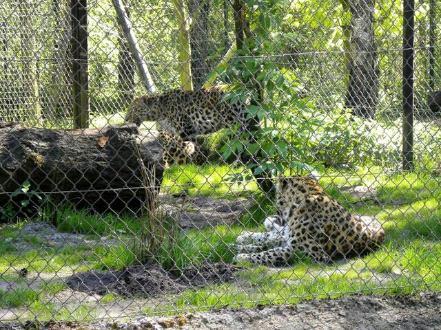 Uns hat er "Knastbrüder" genannt, sein Diättag macht ihn grantig.