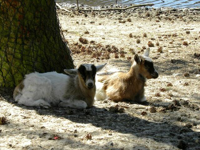 Kleine Pause, bitte!