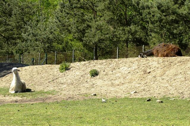 ...hey hey, immer mit der Ruhe, bleib gelassen.