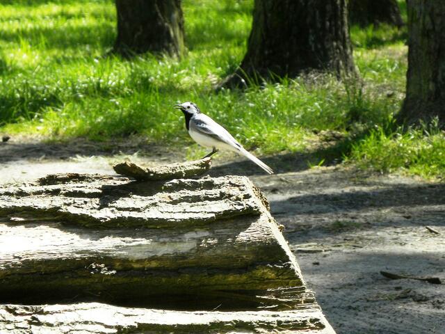 ....das ist was für mich!