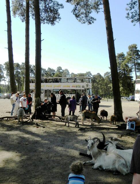 Na Du Dreikäsehoch, haste was?