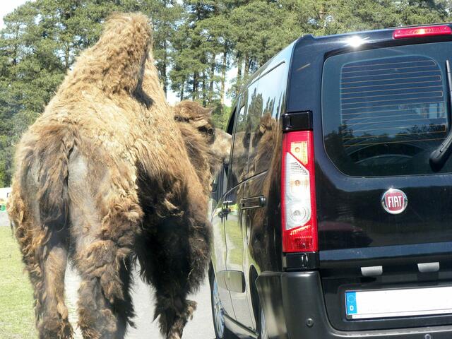 ....vor dem Trampe(l)n erst mal Wegzehrung bitte!
