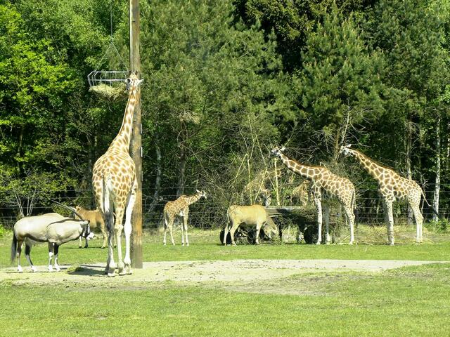 Uns hängen sie den Brotkorb auch immer höher.