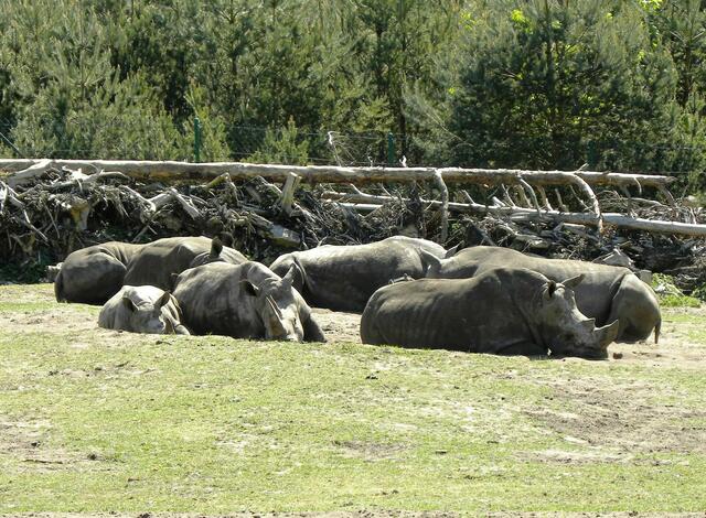 ......und hier erst recht nicht. Nehmt ihr uns aufs Korn, nehmen wir Euch aufs Horn.