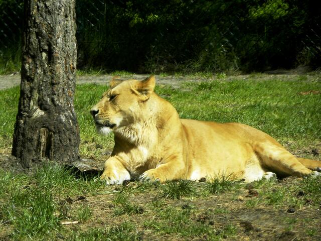 .... ist das langweilig!