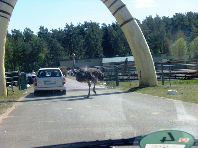 Durchfahrt nur mit Leckerli oder....