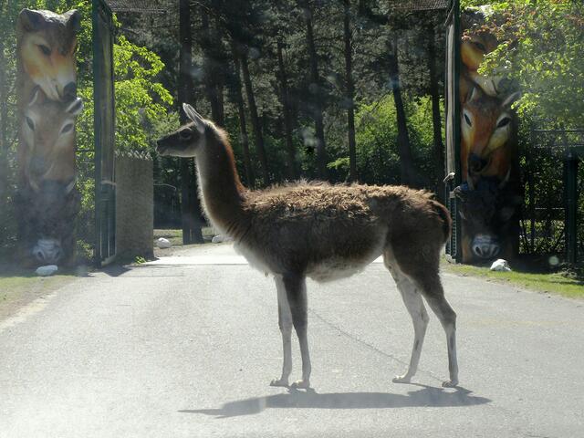 ....das gilt hier auch hier, alles klar?