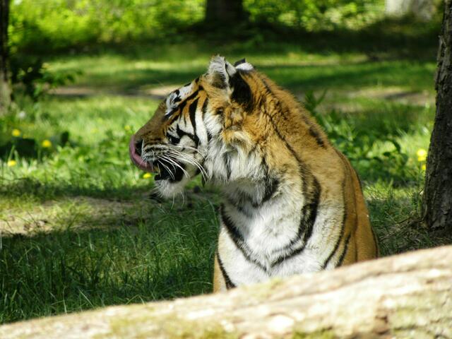 Ich hab heute meinen Diättag.....