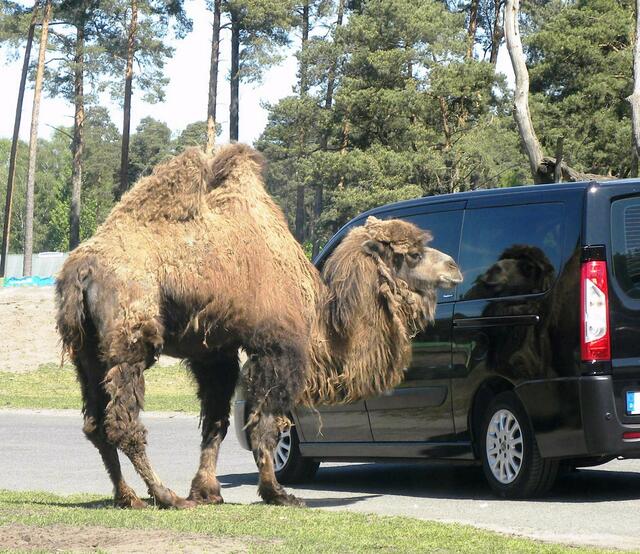 Oh Schreck! Bin das Ich?