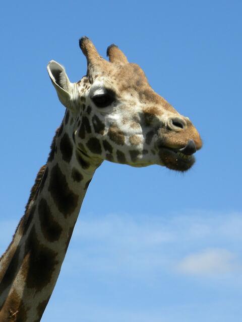 Schnalz...der da drüben hat was Leckeres.