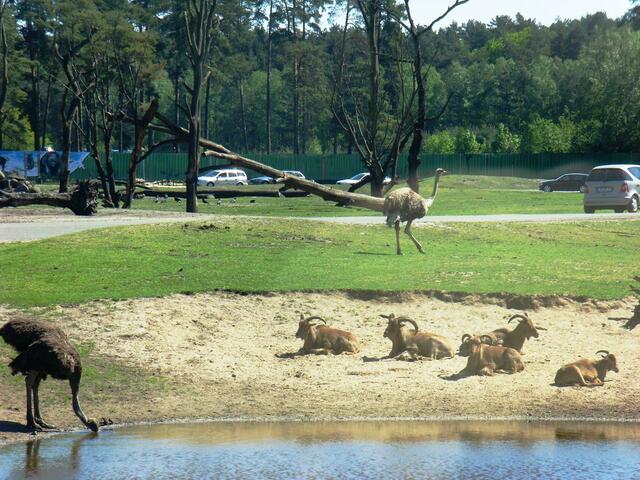 Herrlich, diese Freiheit...ich möchte nicht mit denen in den Sardinenbüchsen tauschen.