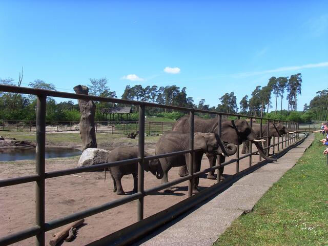 Jungs, aufgestellt....'ne neue Busladung ist angekommen.