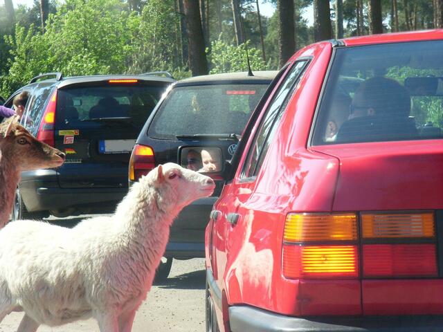 Guck mal... ich will auch