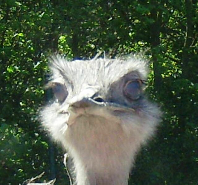 ......muss ich deutlicher werden?