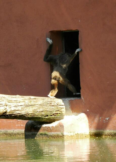 Mir reicht's für heute.......tschüüüsss.......
