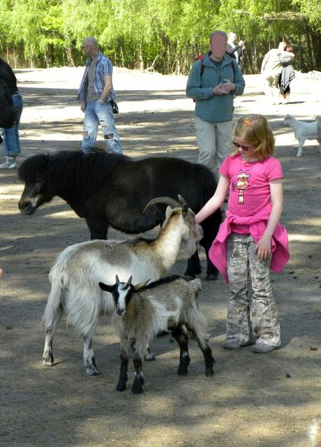 Jetzt aber Schluß mit Streicheln, wo bleibt das Leckerli?