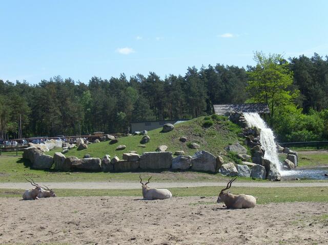 ...genau, uns geht gut...fast wie Urlaub.