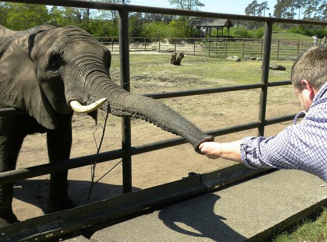 ....immer her damit, einer geht noch!