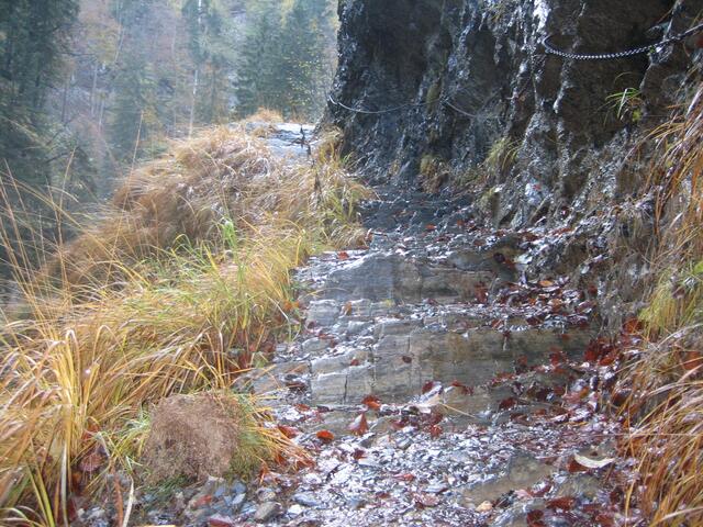 Weg in der Garnitzenklamm