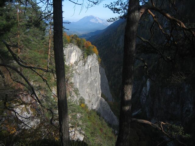 Oberhalb der Garnitzenklamm