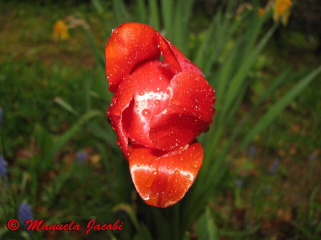 Und noch eine... :-))