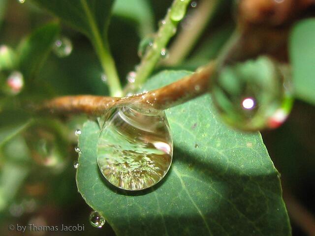 Da verblassen selbst Diamanten. :-)