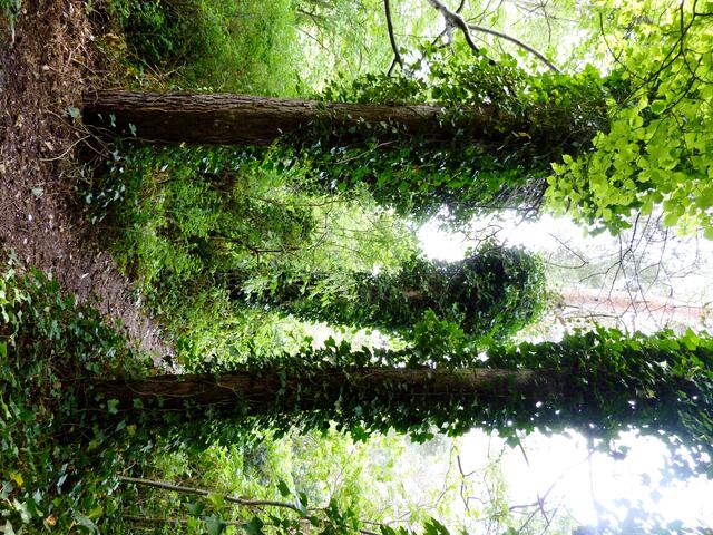 Brinker Park in Langenhagen