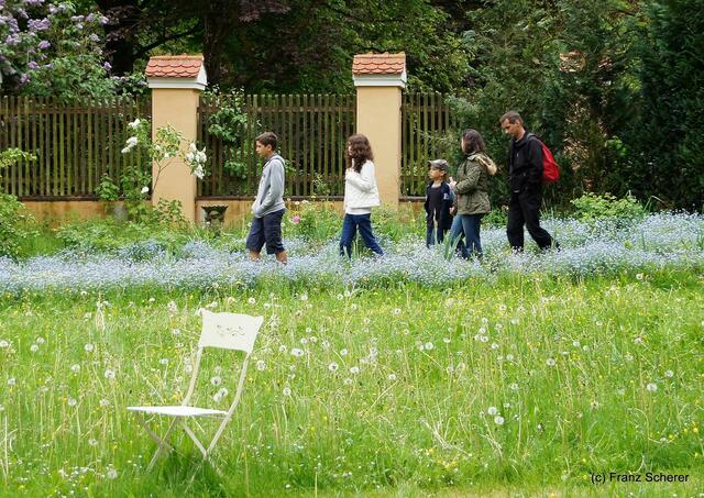 4. Elfenfestival Blumenthal - Spaziergang in der blauen Blumenwolke