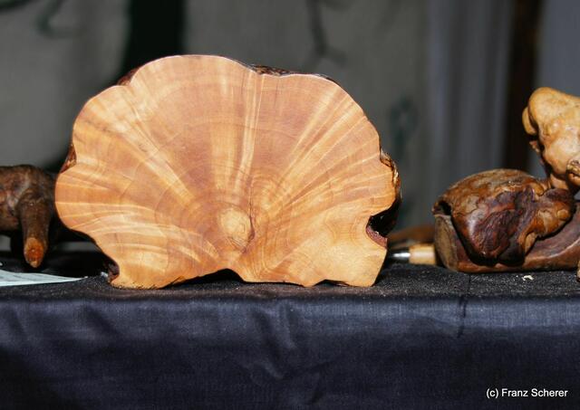 4. Elfenfestival Blumenthal - Impressionen