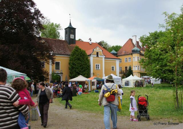 4. Elfenfestival Blumenthal - Impressionen