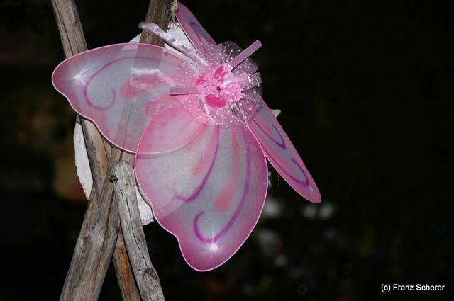 4. Elfenfestival Blumenthal - Impressionen