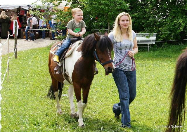 4. Elfenfestival Blumenthal - Reiten auf Ponys von Peters Ponyhof