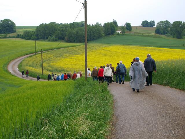 Ob allein oder in der Gruppe - der Weg lohnt sich bei jedem Wetter