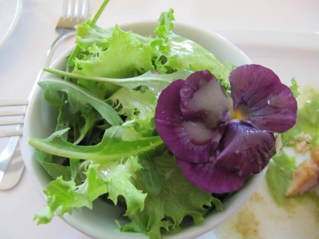 Kräutersalat mit essbarem "Veigele" (Stiefmütterchen)