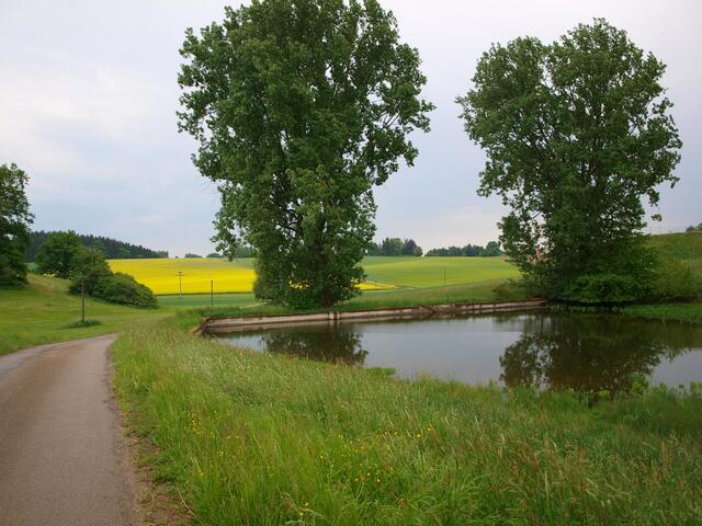 Vorbei an Fischweihern