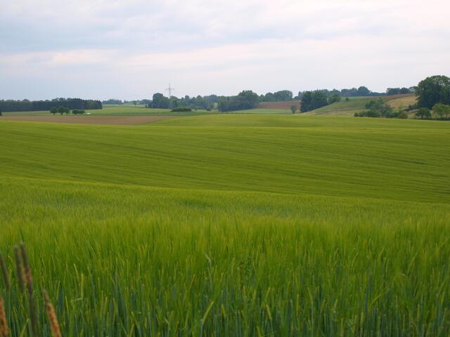 Ein Landschaft, die zum Erleben einlädt