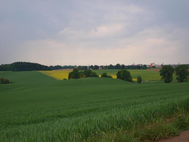 vorbei an einem der höchsten Punkte in der Region, der eine tolle Aussicht bietet