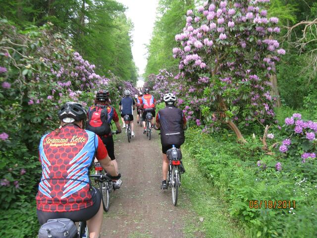 Welch tolle Blüten