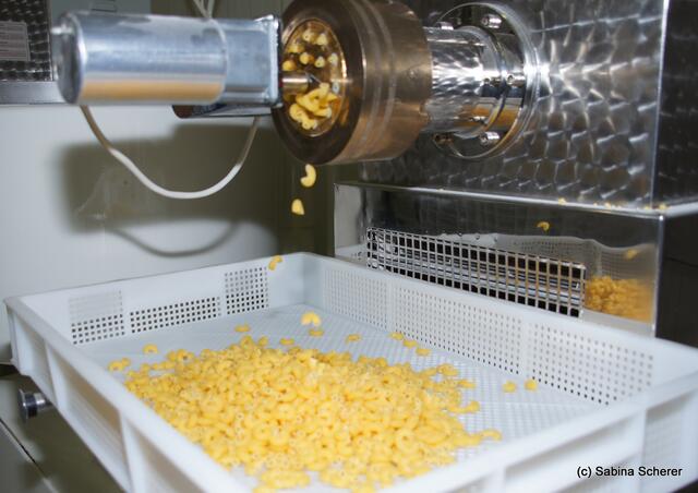 Lärchenhof-Nudeln aus Friedberg-Rinnenthal - Nudelproduktion